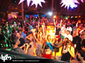 N#:339028 - 