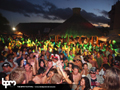 N#:339059 - 