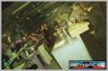 N#:32003 - Dancefloor
