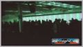 N#:32022 - Very Nice Lights !!!